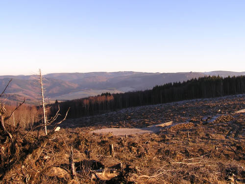 Und hier der Blick Richtung Elleringhausen. Im Hintergrund der langgezogene Bergrücken vom Hohen Eimberg. Rechts sind auch die Bruchhauser Steine erkennbar.